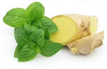 The ginger and the mint as part of the tools